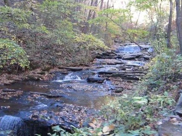 232 Andes Rdg, Ellijay, GA 30540