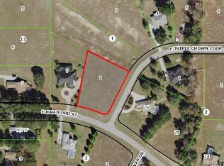 925 E Triple Crown Loop, Hernando, FL 34442