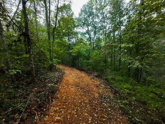 2nd image of 0 Houston Rd