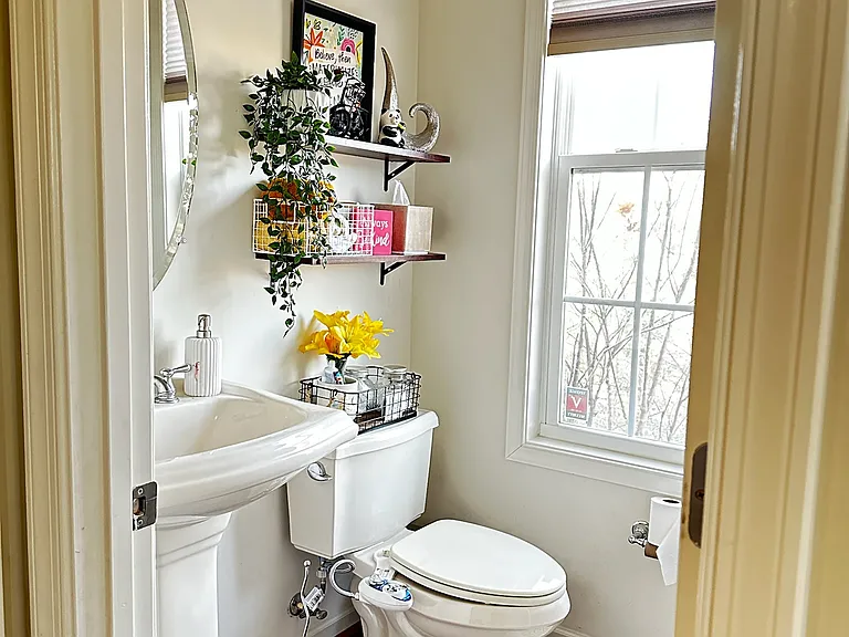 Living Room Bathroom