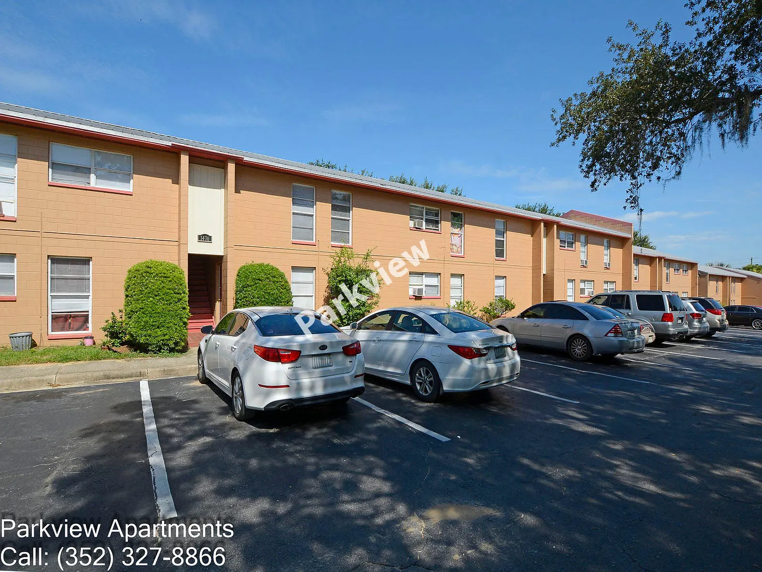 1 bed, 650 sqft, $1,125 — Photo 1
