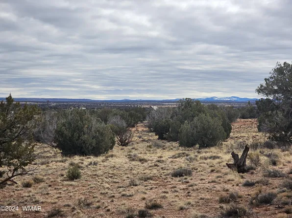 1599 County Road 5270, Concho, AZ 85924