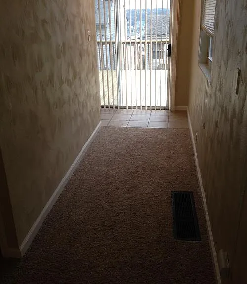 18 Holt St — Photo 22