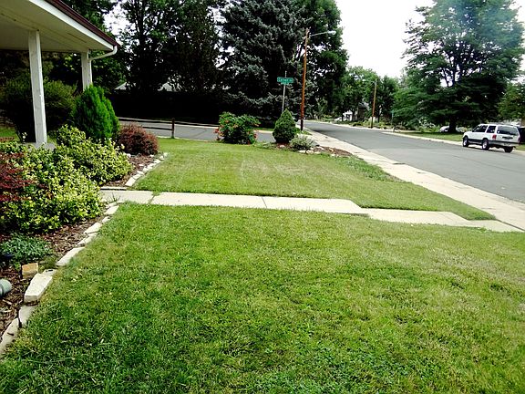 Front Yard