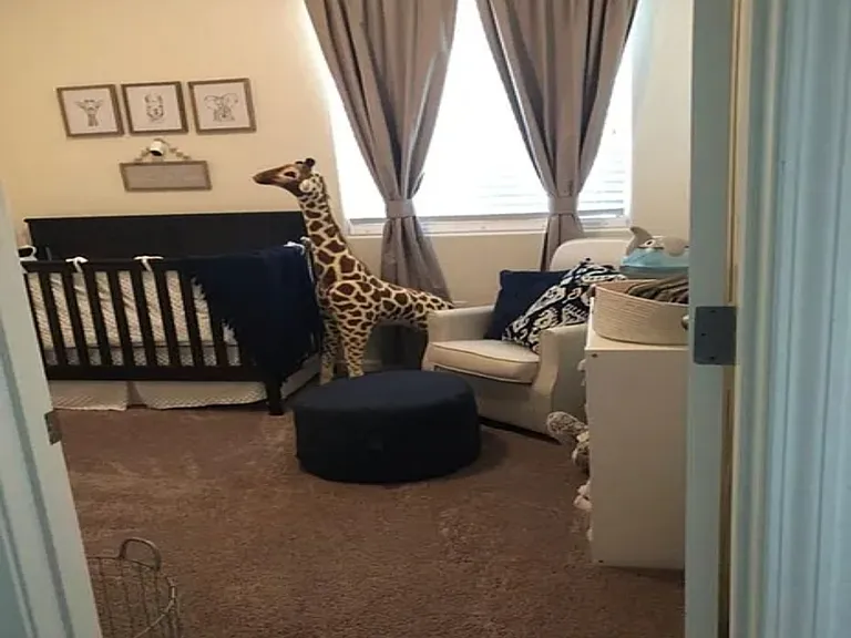 2468 Bay Hill Ave — Photo 9