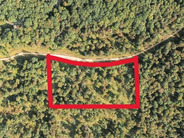 Lot 10e Gobbler Ridge Rd, Sigel, PA 15860