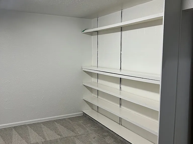 Basement storage shelves.