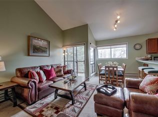 1977 Soda Ridge Rd #1199, Montezuma, CO 80435