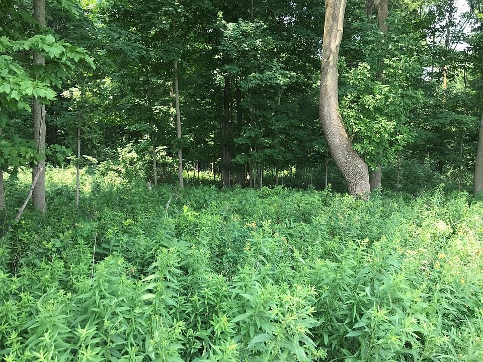 1st image of 10 Acres LINCOLN DRIVE #139054