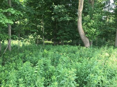 10 Acres LINCOLN DRIVE #139054, Athens, WI, 54411