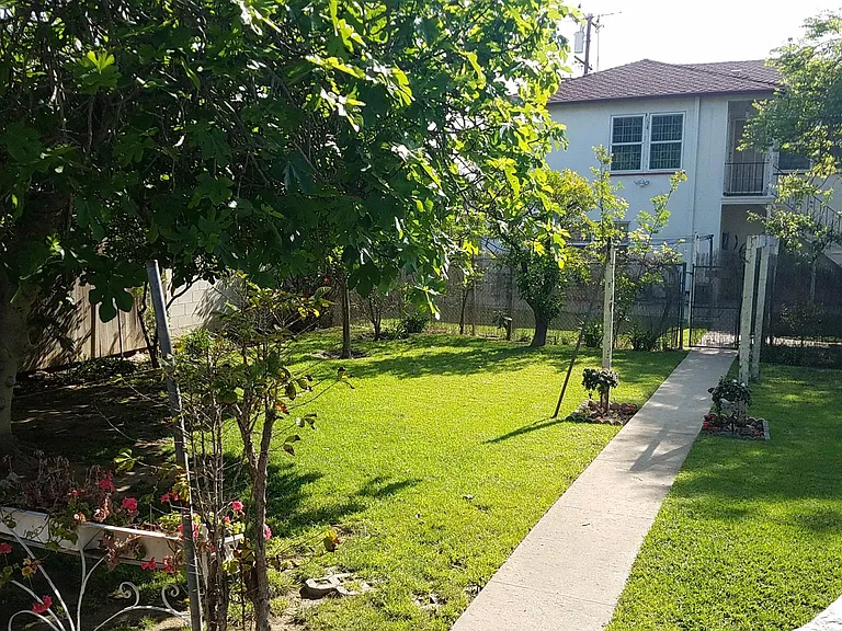 Large backyard with various fruit trees