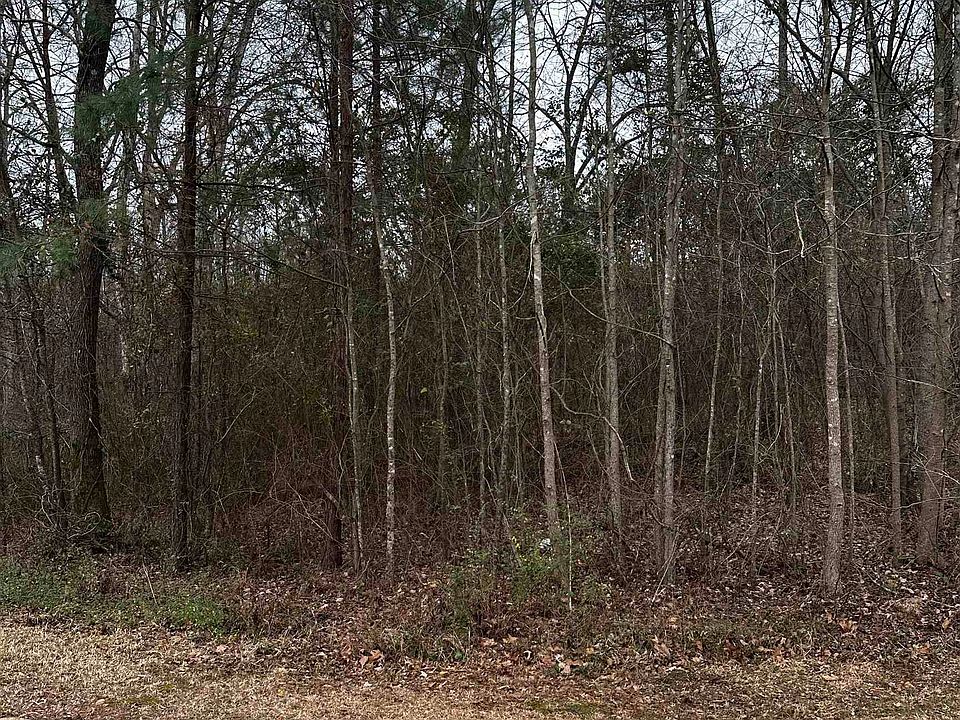 2nd image of Red Oak Trl #D