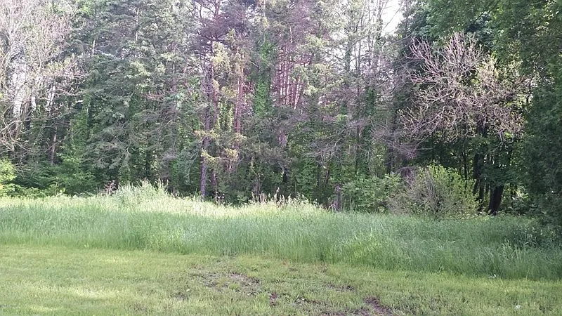 12134 Heights Ravenna Rd photo 1