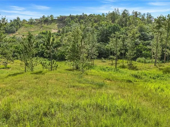 63 Sector Monticello, Cidra, PR 00739