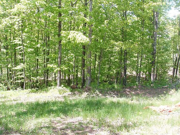 2nd image of Lot 1 On Highway 169