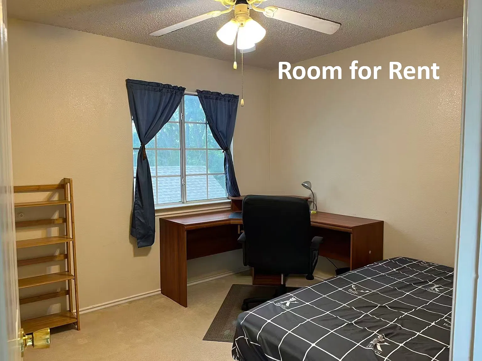 1 bed, 130 sqft, $600 — Photo 1