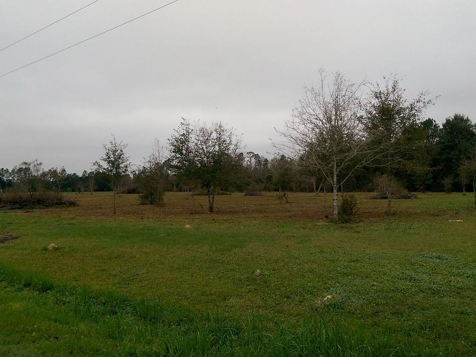 IMAG2599