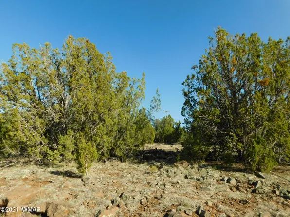 1787 Queen Creek Pl, Show Low, AZ 85901