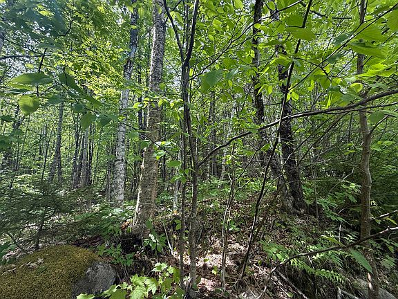 4th image of R6L9 Dickey Mills Road