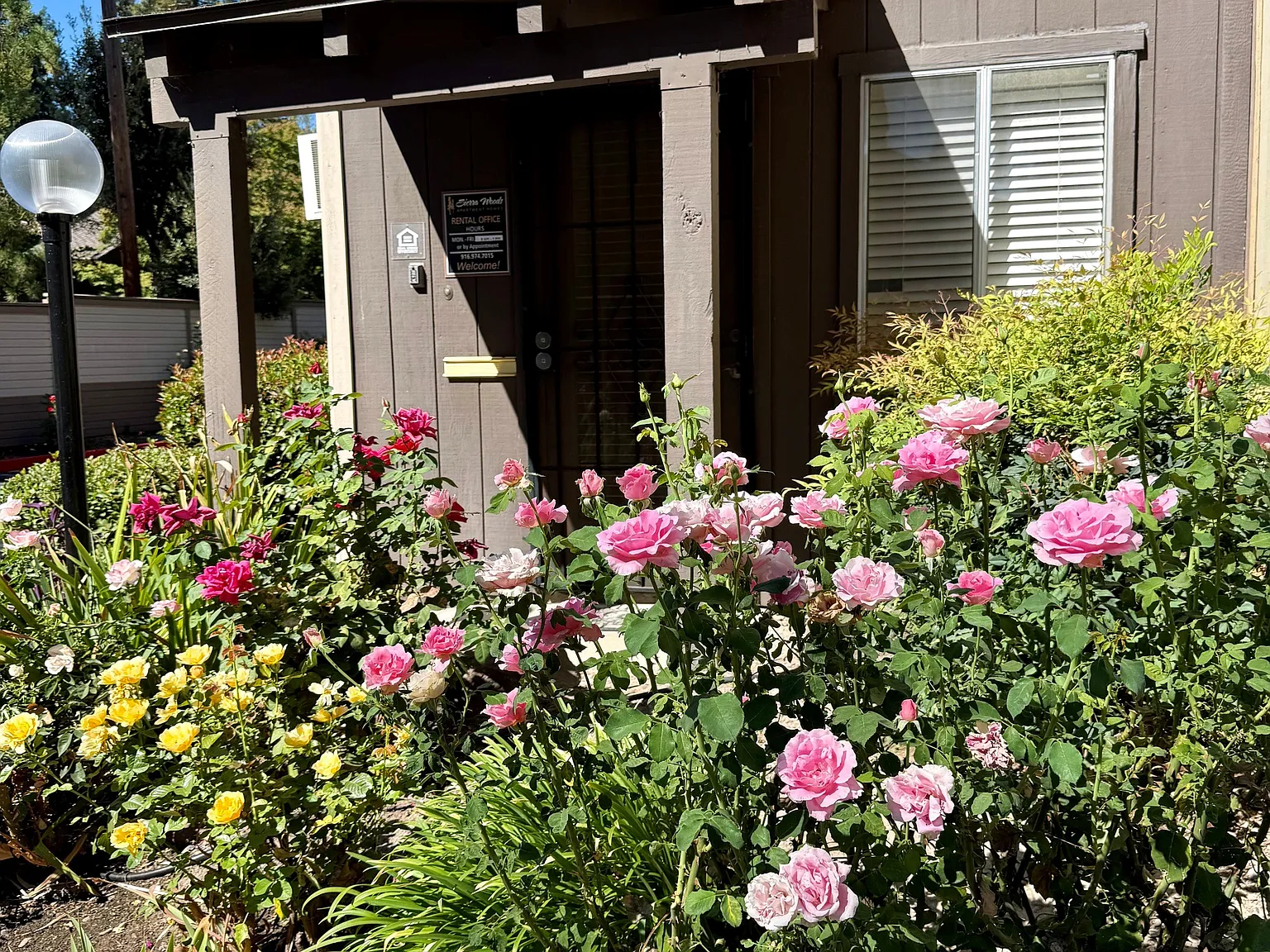 Sierra Woods Apartments — Photo 4