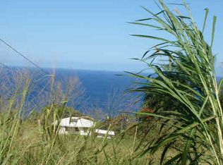 Puualaiea LOT 3, Laupahoehoe, HI 96764