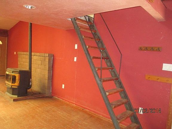 el gallo chelwood 009