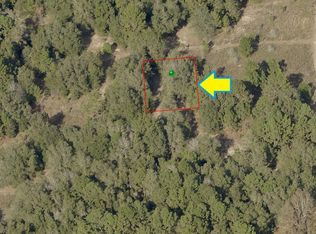 1905 Victor St, Inverness, FL 34453