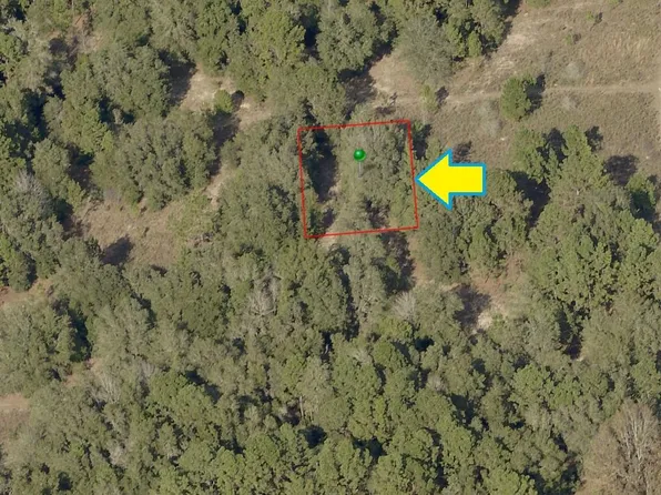 1905 Victor St, Inverness, FL 34453