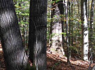 Sleeper Rd, Hillsborough, NH 03244