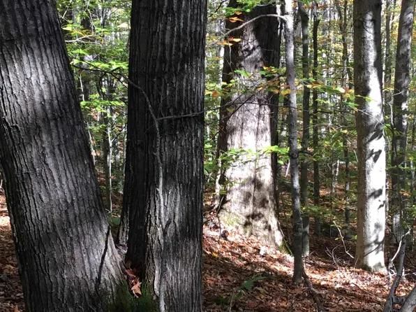 Sleeper Hill Road, Hillsborough, NH 03244