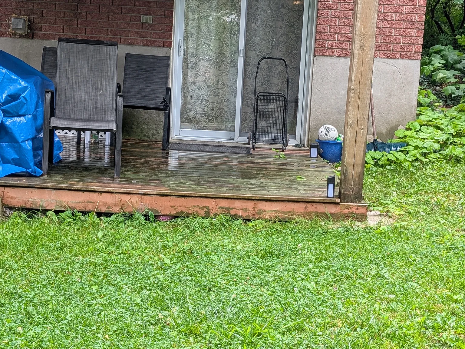 1 bed, 600 sqft, $1,300 — Photo 2