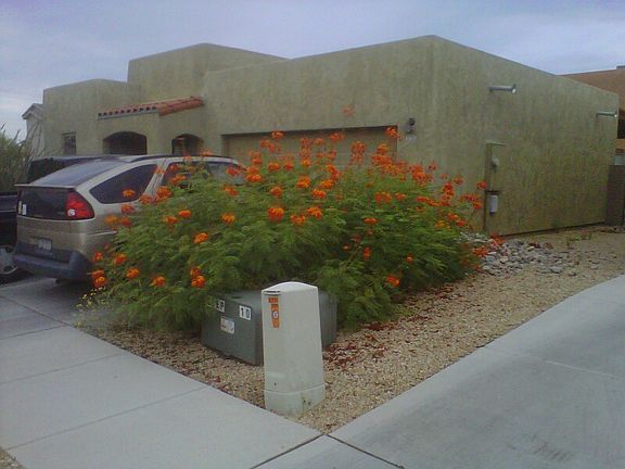 2nd image of 5723 E Camino De Las Iguanas