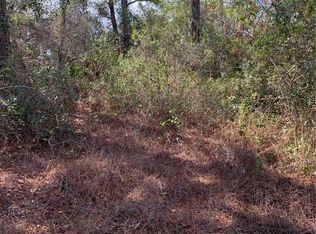 223 E Canal Way NE, Lake Placid, FL 33852