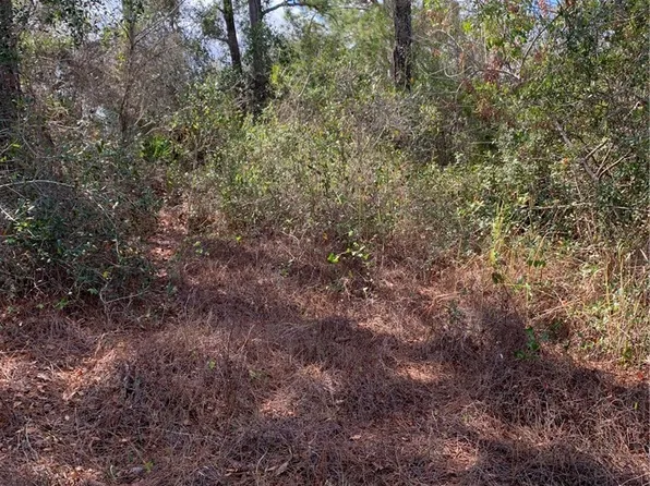 223 E Canal Way NE, Lake Placid, FL 33852