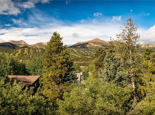 203 Wellington Rd, Breckenridge, CO 80424