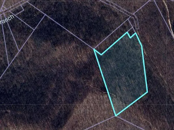 0 Den Br, Williamson, WV 25661