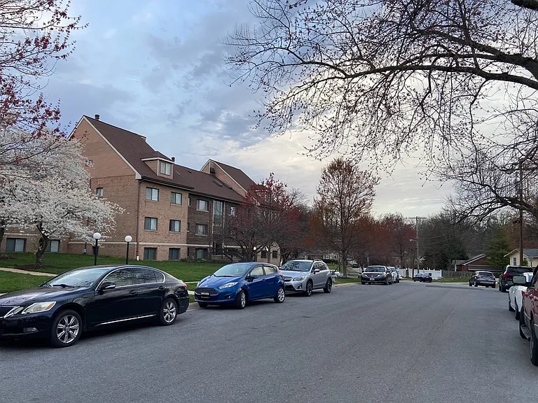 Street Parking