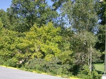 2nd image of 705 E Parkway