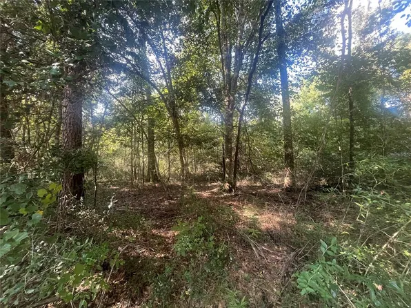 HOLLYWOOD WAY, CRAWFORDVILLE, FL 32327
