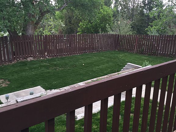 Back yard_12172015