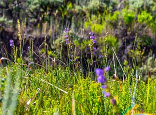 LOT 6B & C Cres #2231, Kremmling, CO 80459