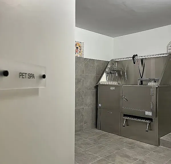 208 Delancey St #5G — Photo 5