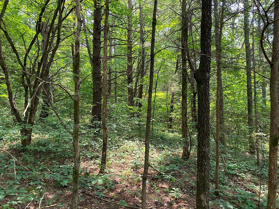2nd image of LOT 21 Point View Dr