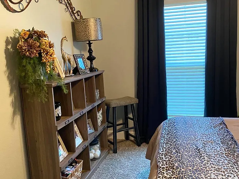 3852 Carrera Ln — Photo 8