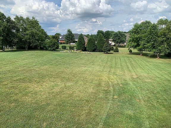 View From Upstairs Deck