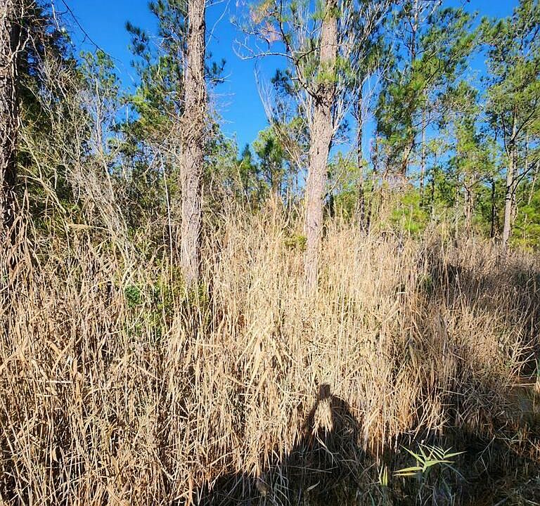 0 Hobucken School Road, Hobucken, NC 28537 Zillow