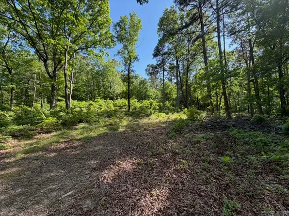 0 Ernie Woods Rd, Rose Bud, AR 72137