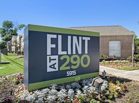 Flint at 290