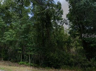 0 E Gillisonville Rd, Ridgeland, SC 29936