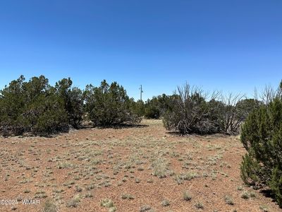 2309 Sitgreaves St, Show Low, AZ, 85901